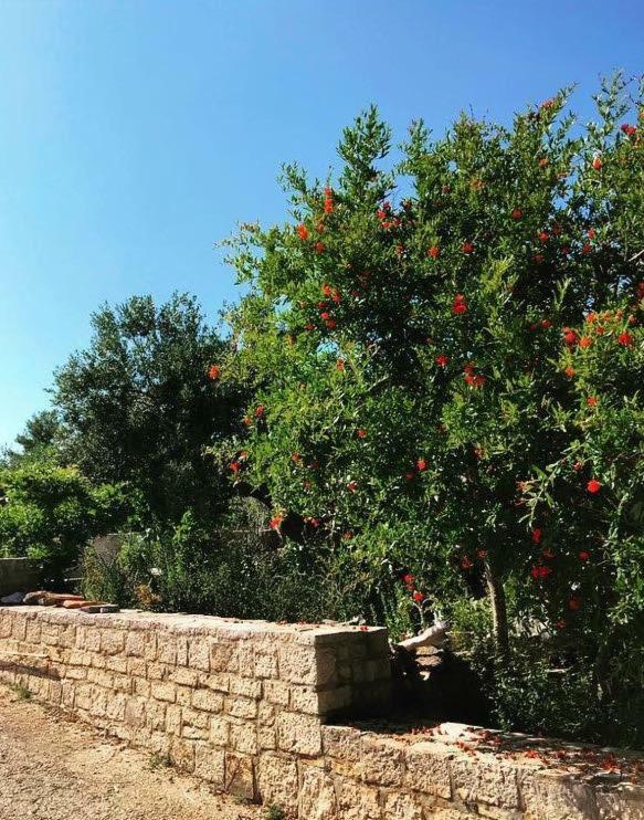 Apartmán Faros Oasis Gdinj Exteriér fotografie