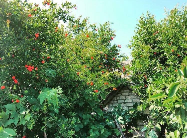 Apartmán Faros Oasis Gdinj Exteriér fotografie