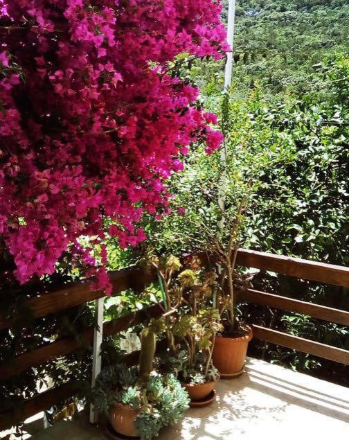 Apartmán Faros Oasis Gdinj Exteriér fotografie